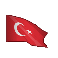 Türk Bayrağı